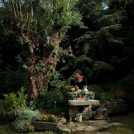 Bed & Breakfast Ca'del Gallo *