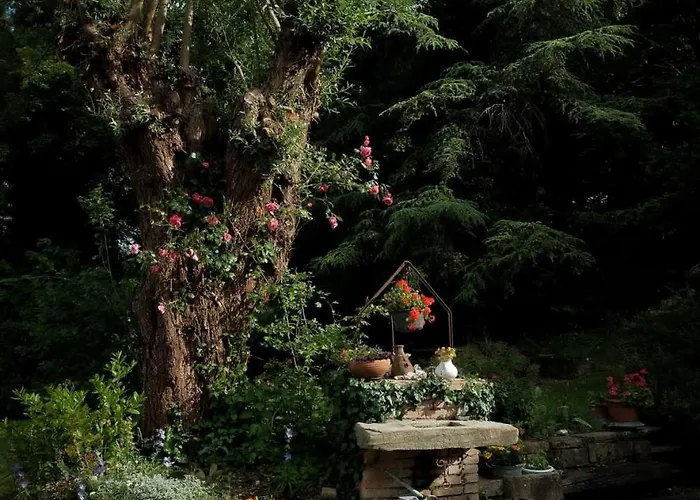 Oda ve Kahvaltı Ca'del Gallo *